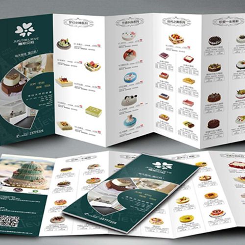 产品宣传单批量定做五折页多折页印刷设计